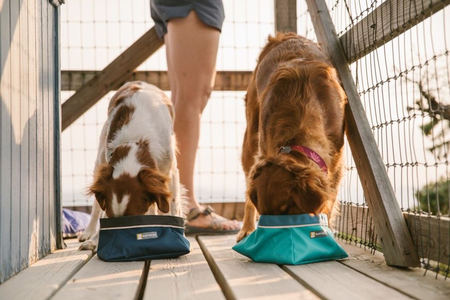 Quencher Medium Blue Moon, view: 2