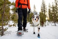 Polar Trex 2-pack Obsidian Black - view: 3