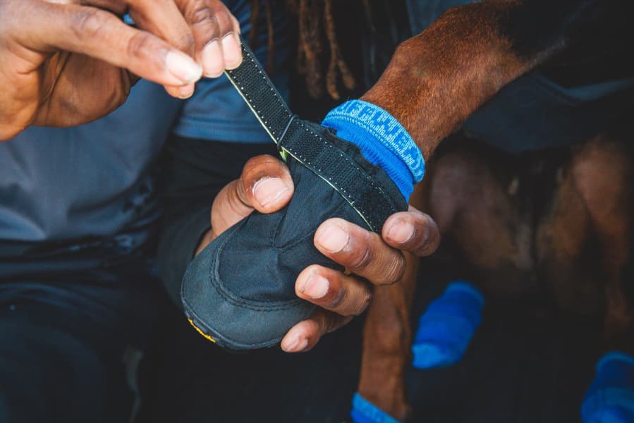 Summit Trex Shoe Obsidian Black, view: 5