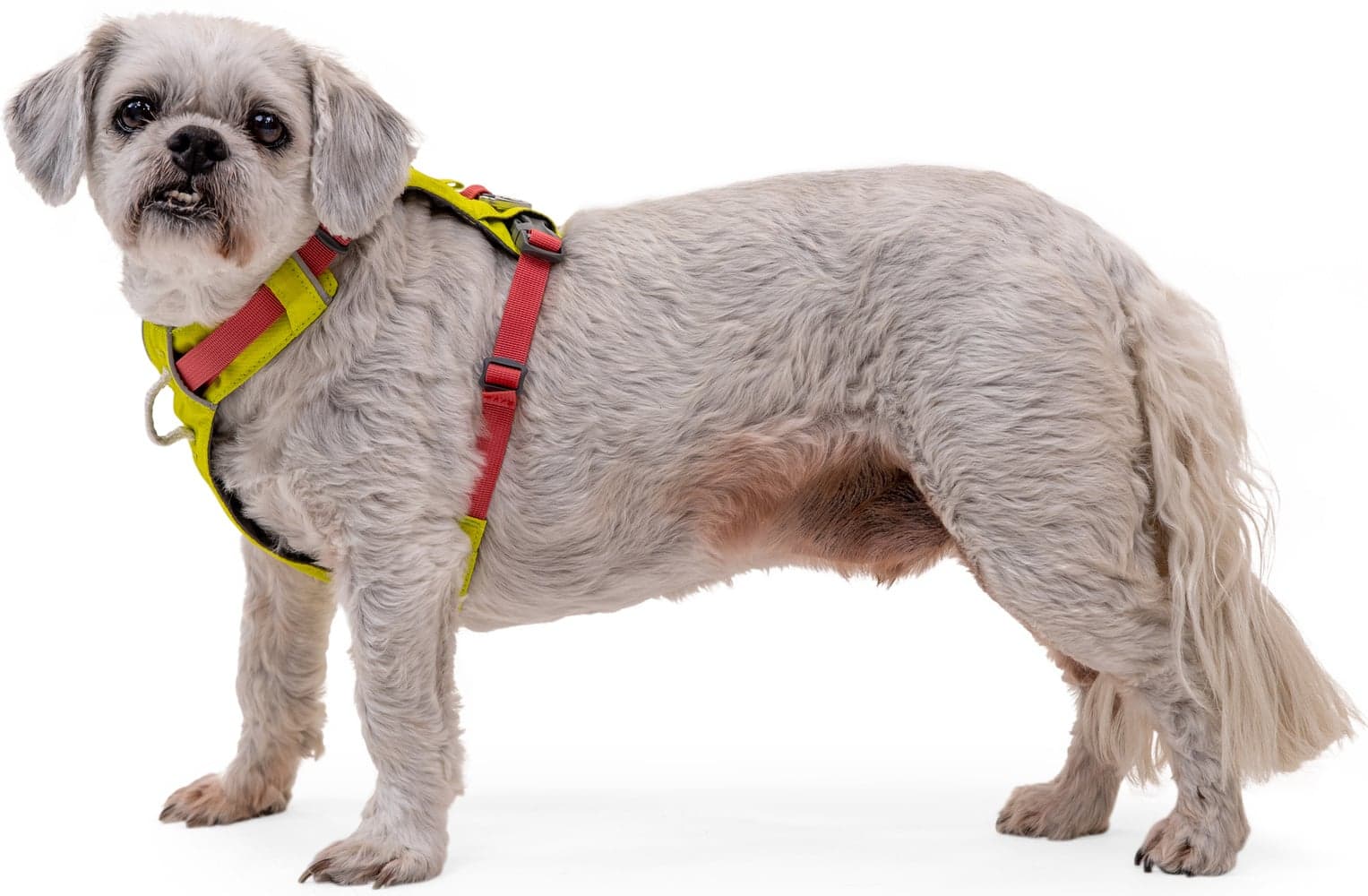 Hi & Light Harness Basalt Gray, view: 5