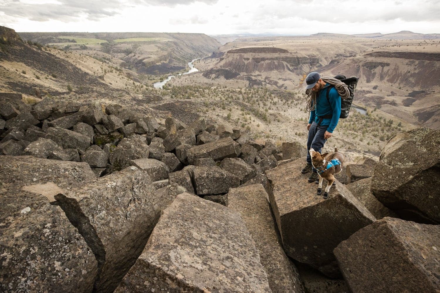 Flagline Harness Basalt Gray, view: 12