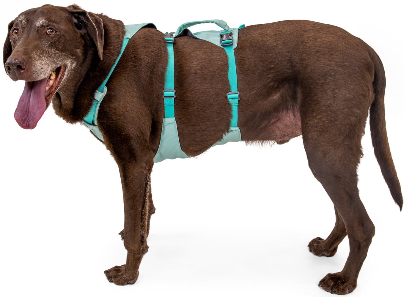 Flagline Harness Basalt Gray, view: 8