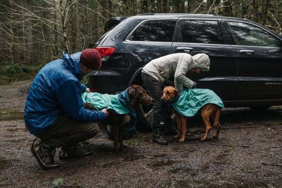 Dirtbag Dog Towel Aurora Teal, view: 5
