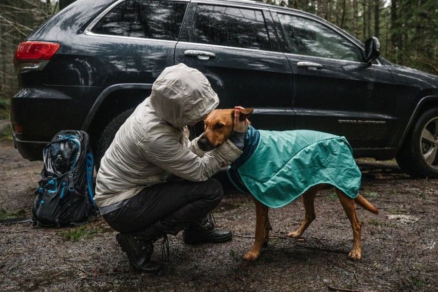 Dirtbag Dog Towel Aurora Teal, view: 3