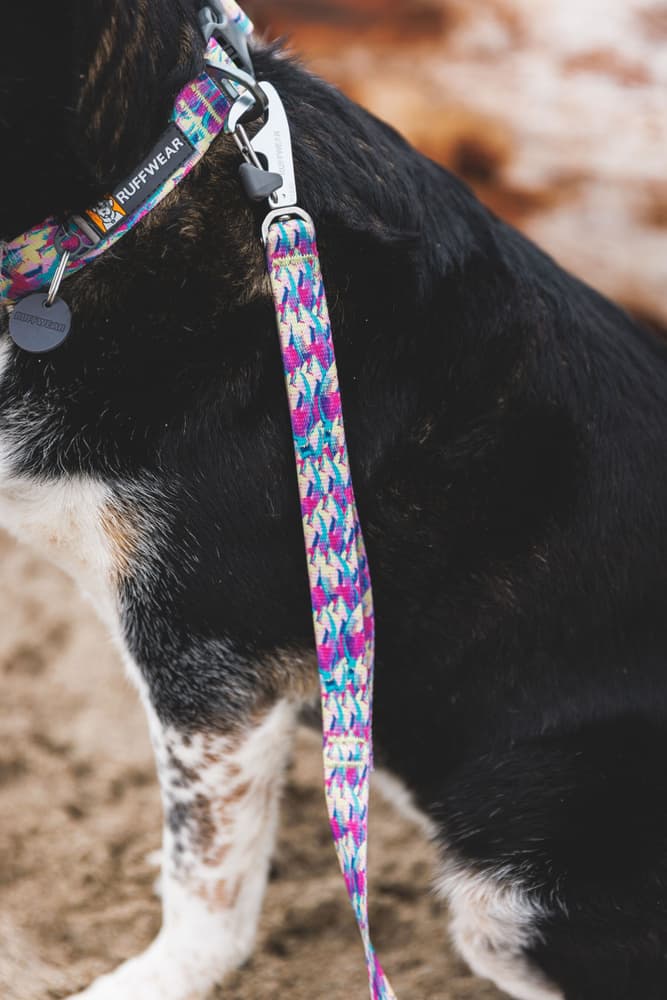 Front Range Leash Sweeping Sage, view: 4