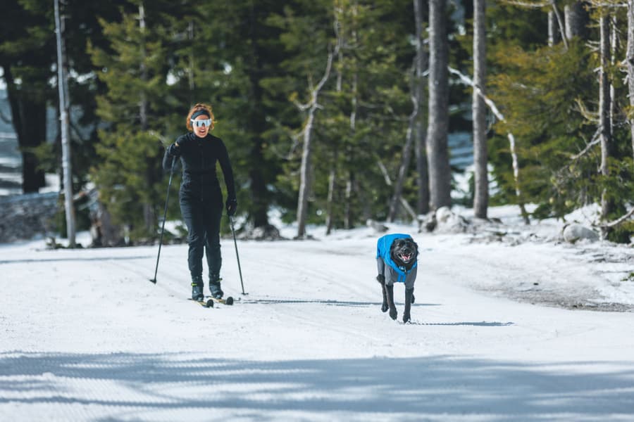 Vert Coverall M-XL Blue Pool, view: 1