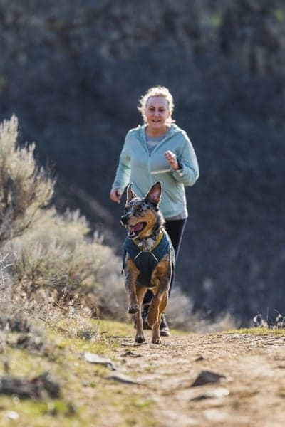 Stumptown Jacket Orion Blue, view: 12