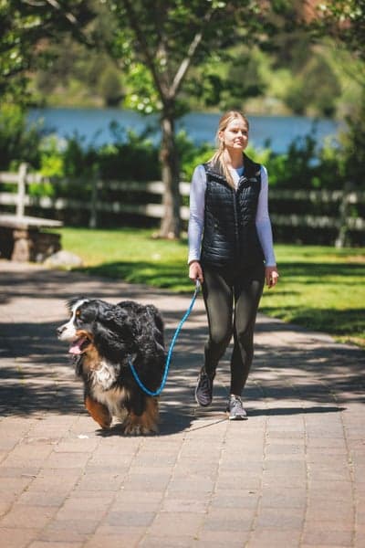 Just-a-Cinch Leash Obsidian Black, view: 9