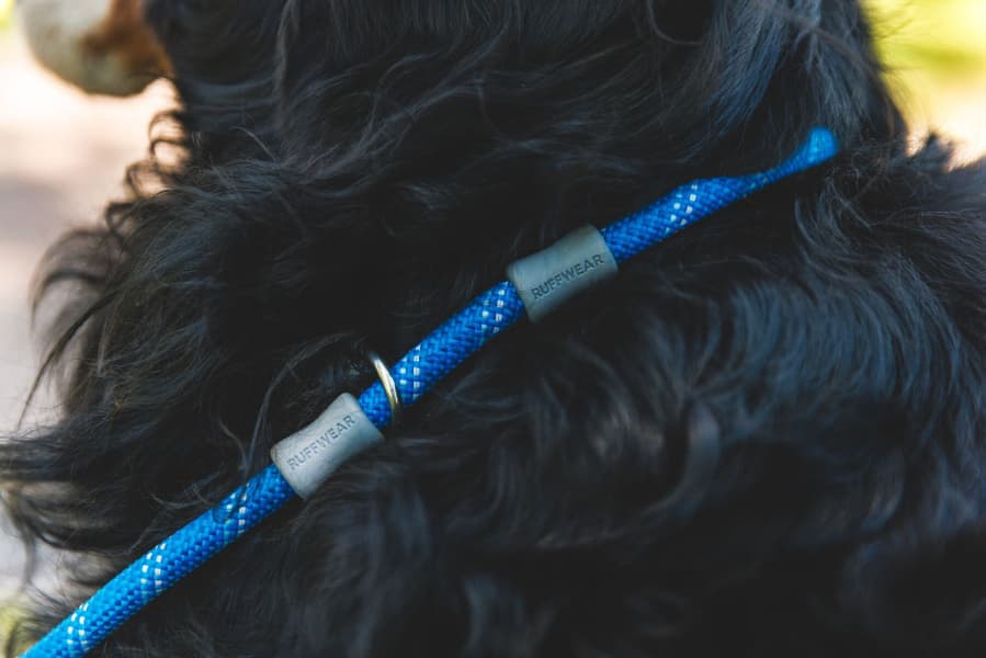 Just-a-Cinch Leash Obsidian Black, view: 7