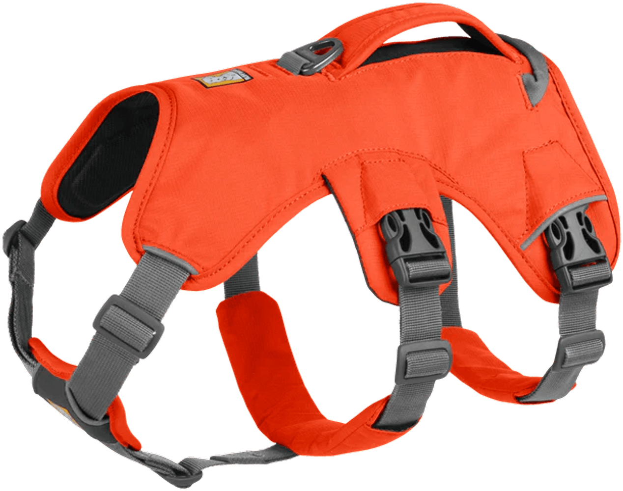 Web Master Harness Blaze Orange, view: 2