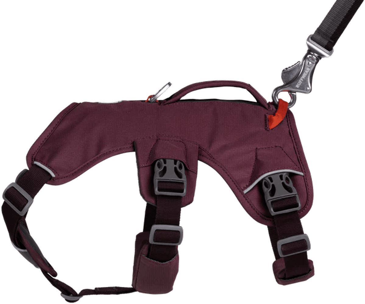 Web Master Harness Purple Rain, view: 4