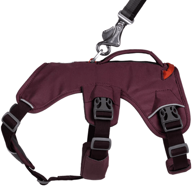 Web Master Harness Purple Rain, view: 3
