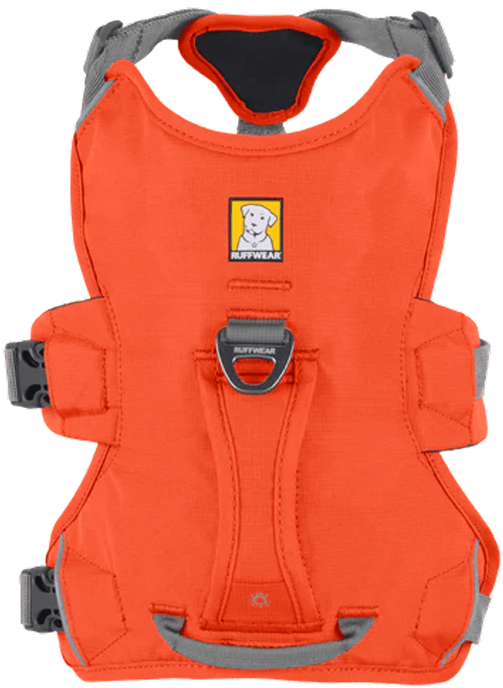 Web Master Harness Blaze Orange, view: 1