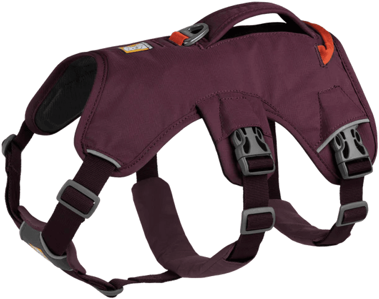 Web Master Harness Purple Rain, view: 1