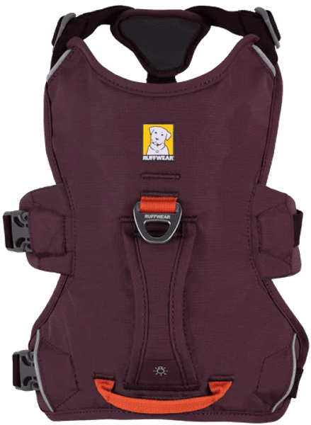 Web Master Harness Purple Rain, view: 2