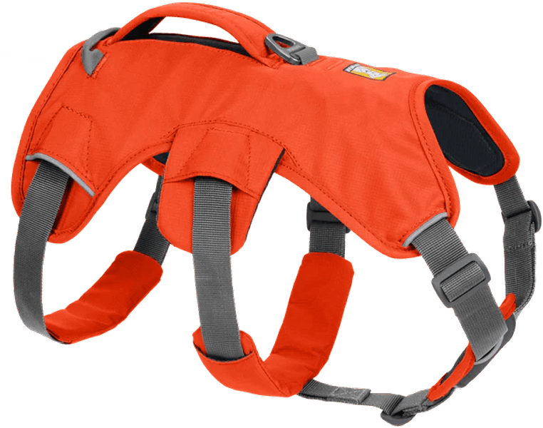 Blaze Orange