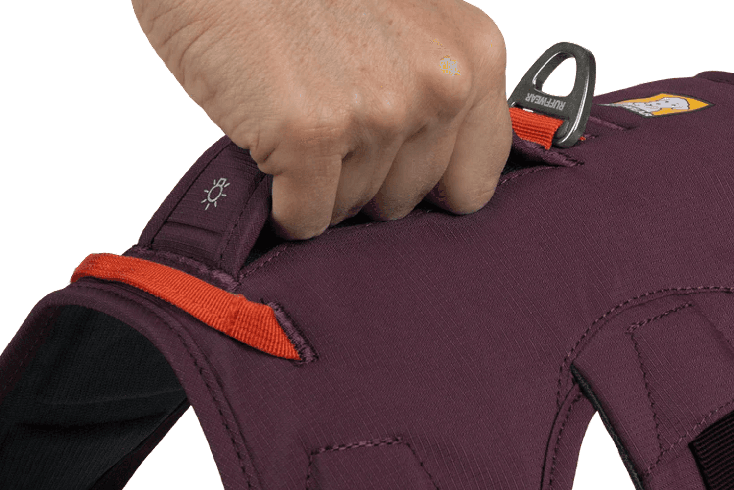 Web Master Harness Purple Rain, view: 5