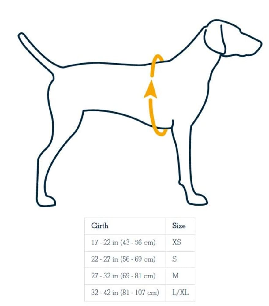 DoubleBack Harness Cloudburst Gray, view: 3