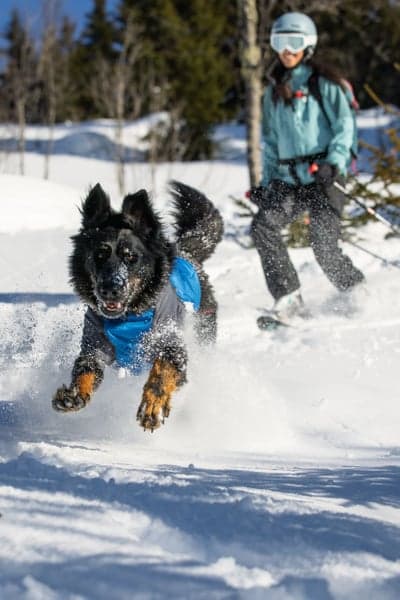 Powder Hound Jacket Blue Pool, view: 3