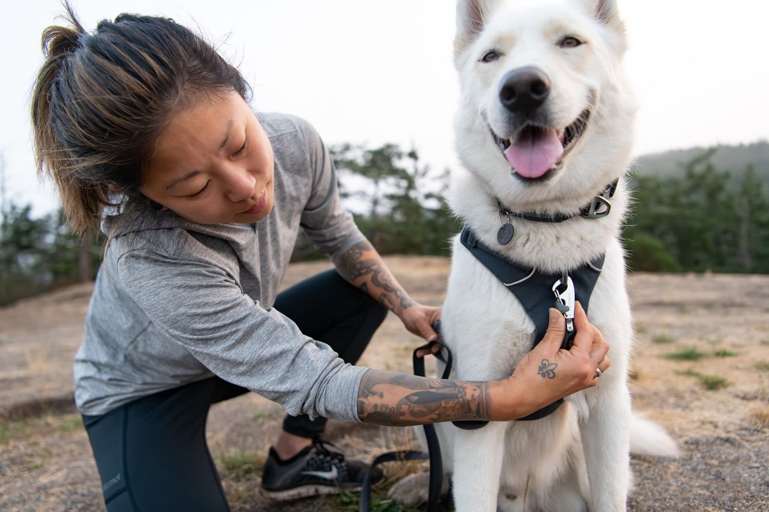 Front Range Harness Spring Mountains, view: 9