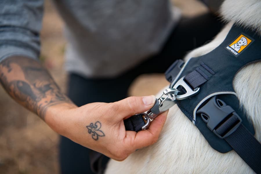 Front Range Harness Red Canyon, view: 9