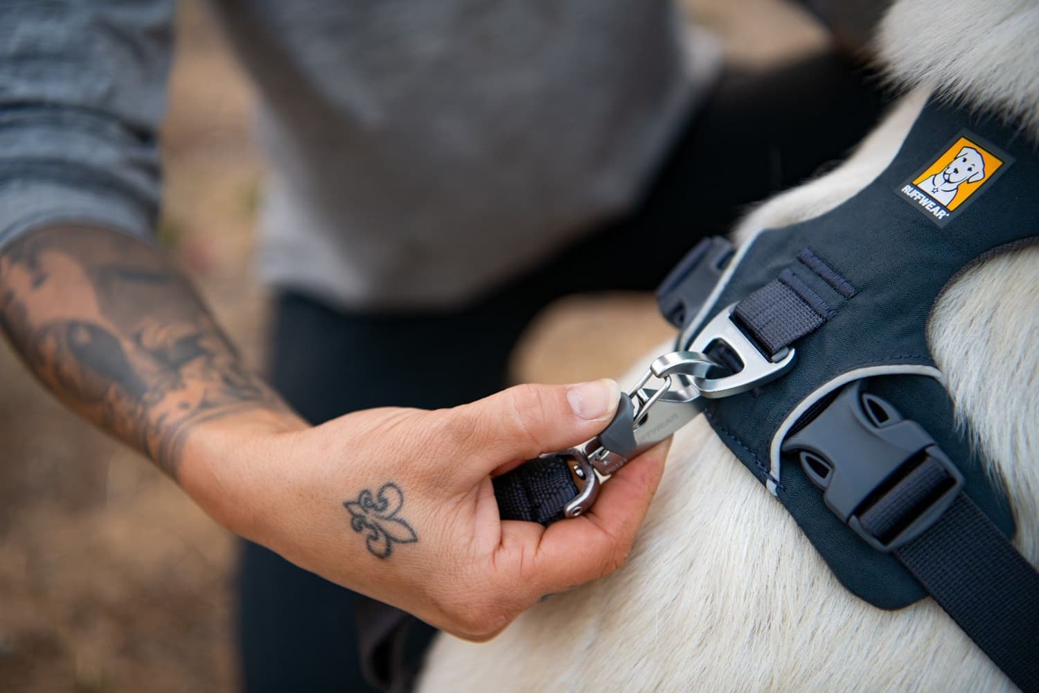 Front Range Harness Moonlight Mountains, view: 9