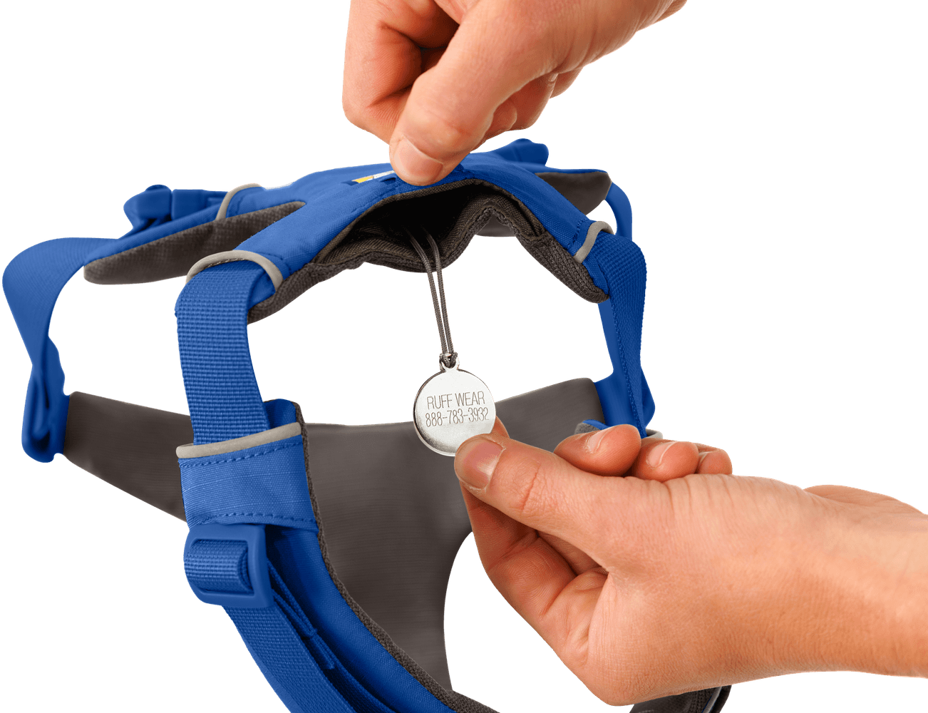 Front Range Harness Blue Pool, view: 2