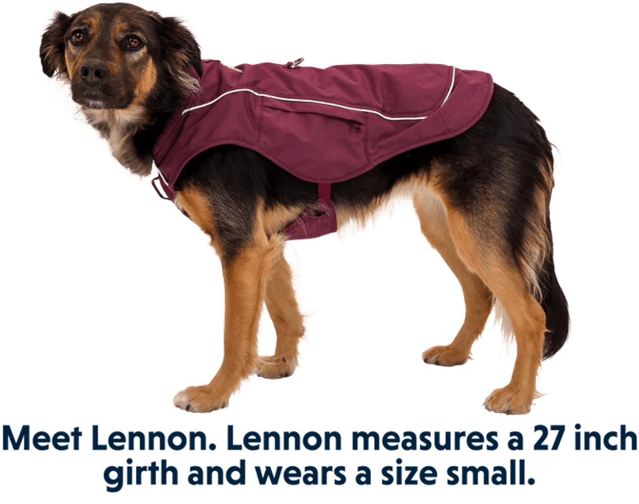 Overcoat Fuse Jacket Purple Rain, view: 8