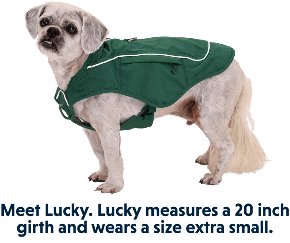 Overcoat Fuse Jacket Evergreen, view: 6