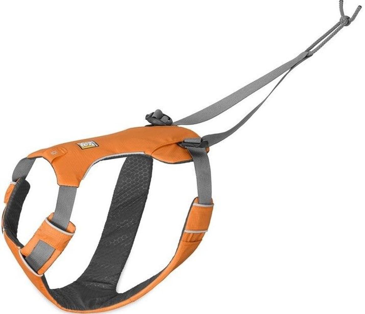Omnijore Dog Harness Orange Poppy, view: 0