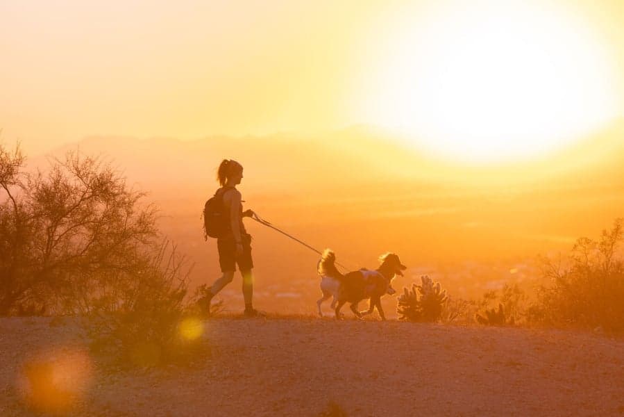 Swamp Cooler Harness Sage Green, view: 7