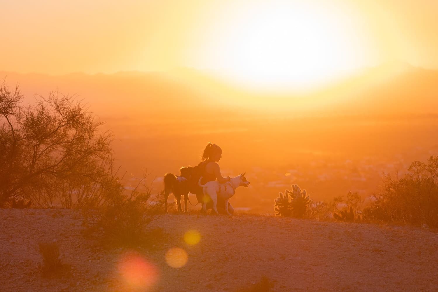 Swamp Cooler Harness Heliotrope Purple, view: 5