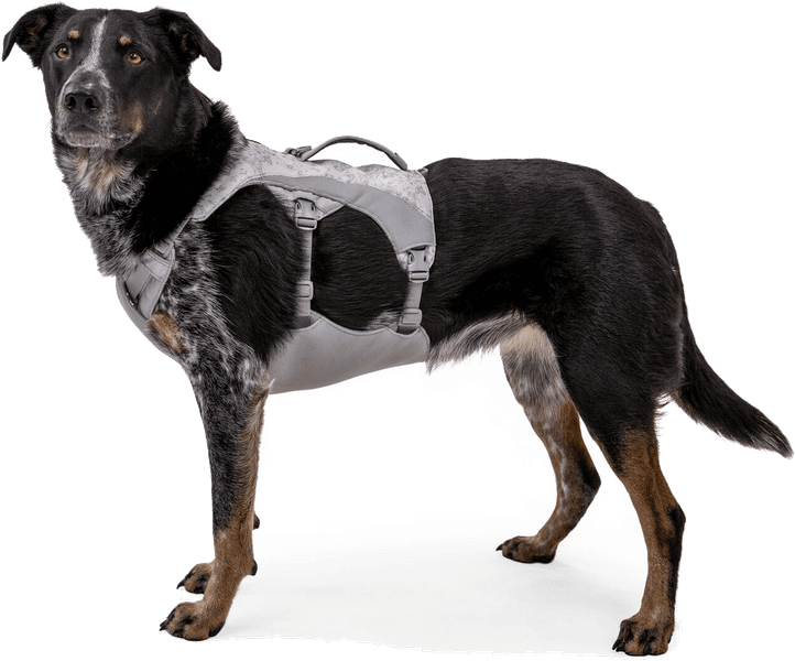Swamp Cooler Harness Graphite Gray, view: 1