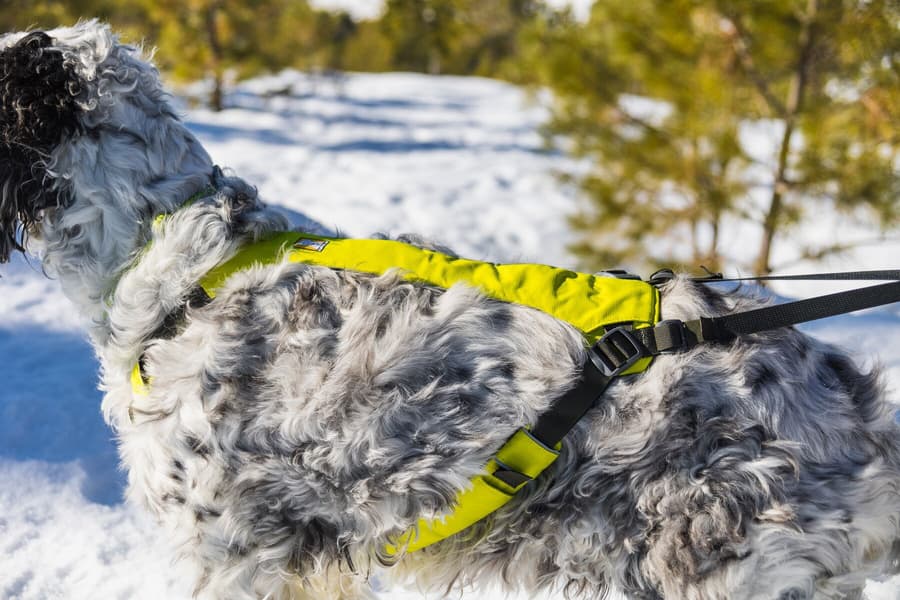 Omnijore Joring System Lichen Green, view: 14