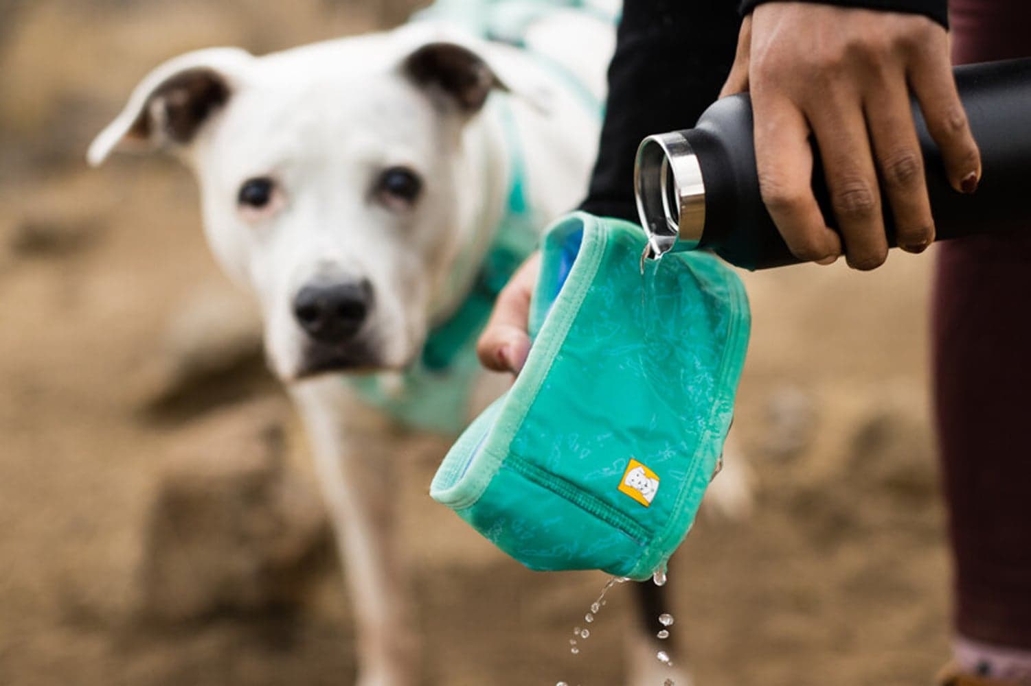 Swamp Cooler Neck Gaiter Aurora Teal/Heliotrope Purple, view: 5