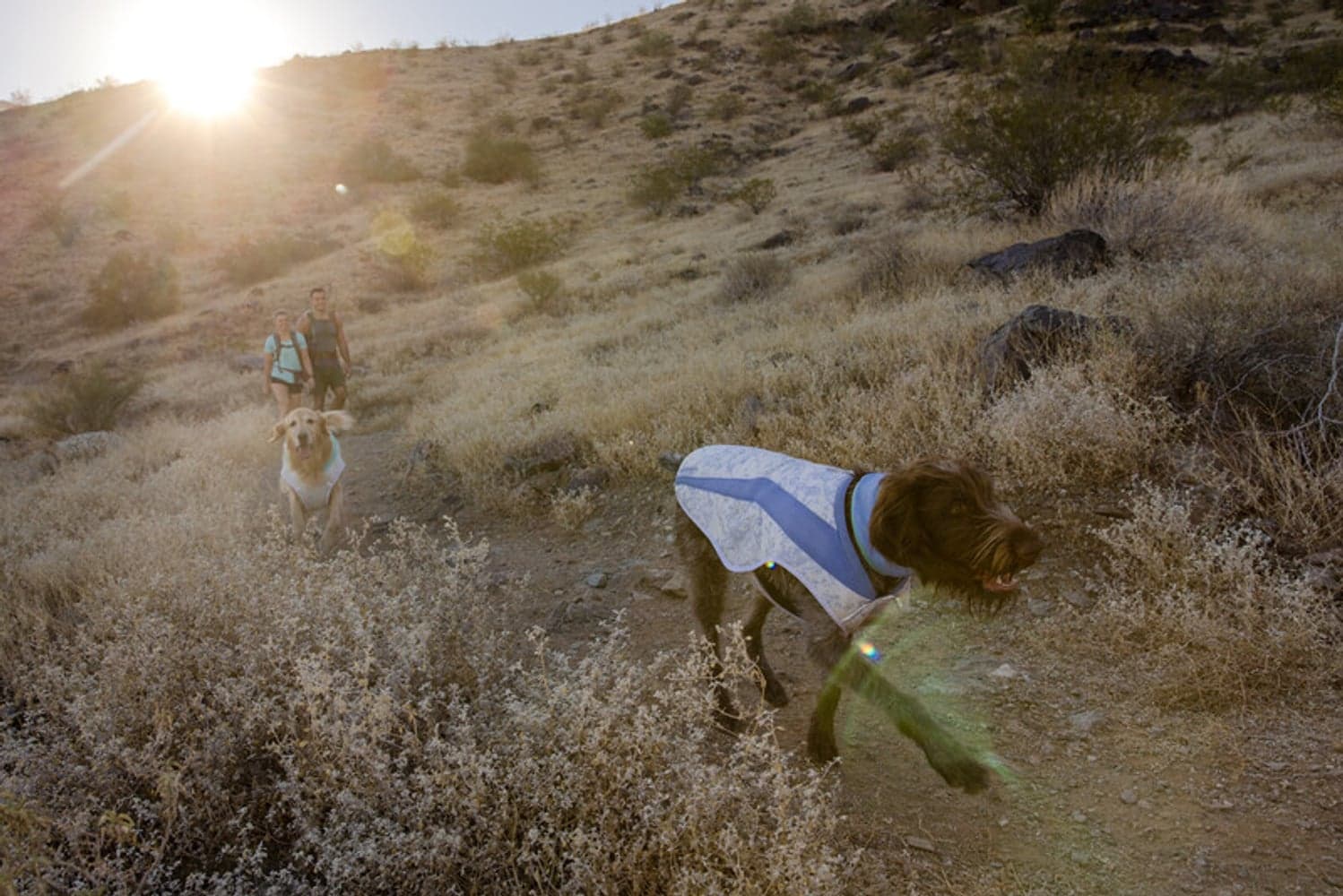 Swamp Cooler Neck Gaiter Aurora Teal/Heliotrope Purple, view: 3