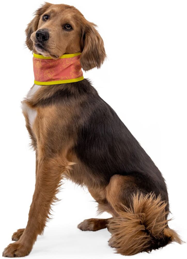 Swamp Cooler Neck Gaiter Salmon Pink/Blue Mist, view: 0