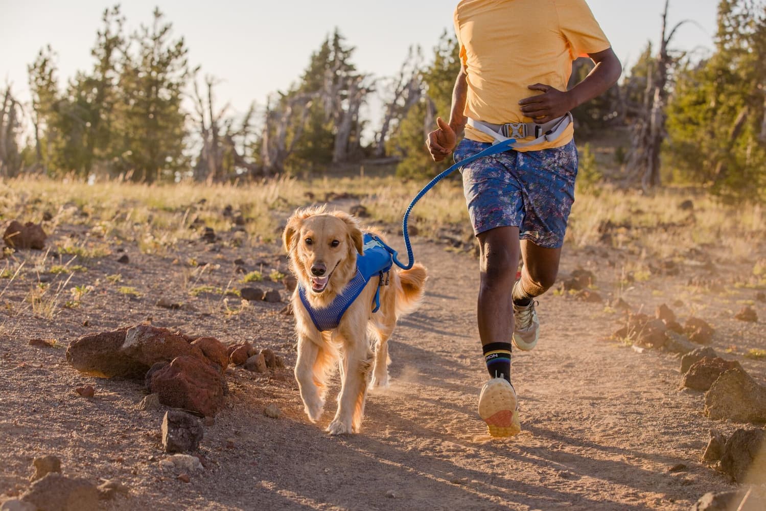 Trail Runner Leash Large Blue Pool, view: 4