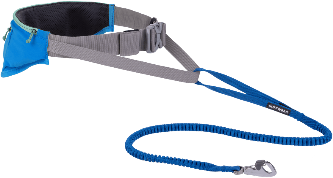 Trail Runner Leash Large Blue Pool, view: 3