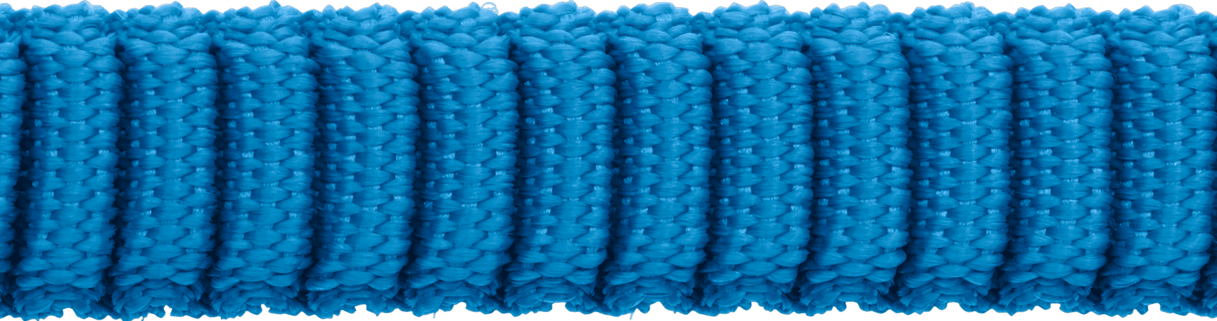 Trail Runner Leash Large Blue Pool, view: 2