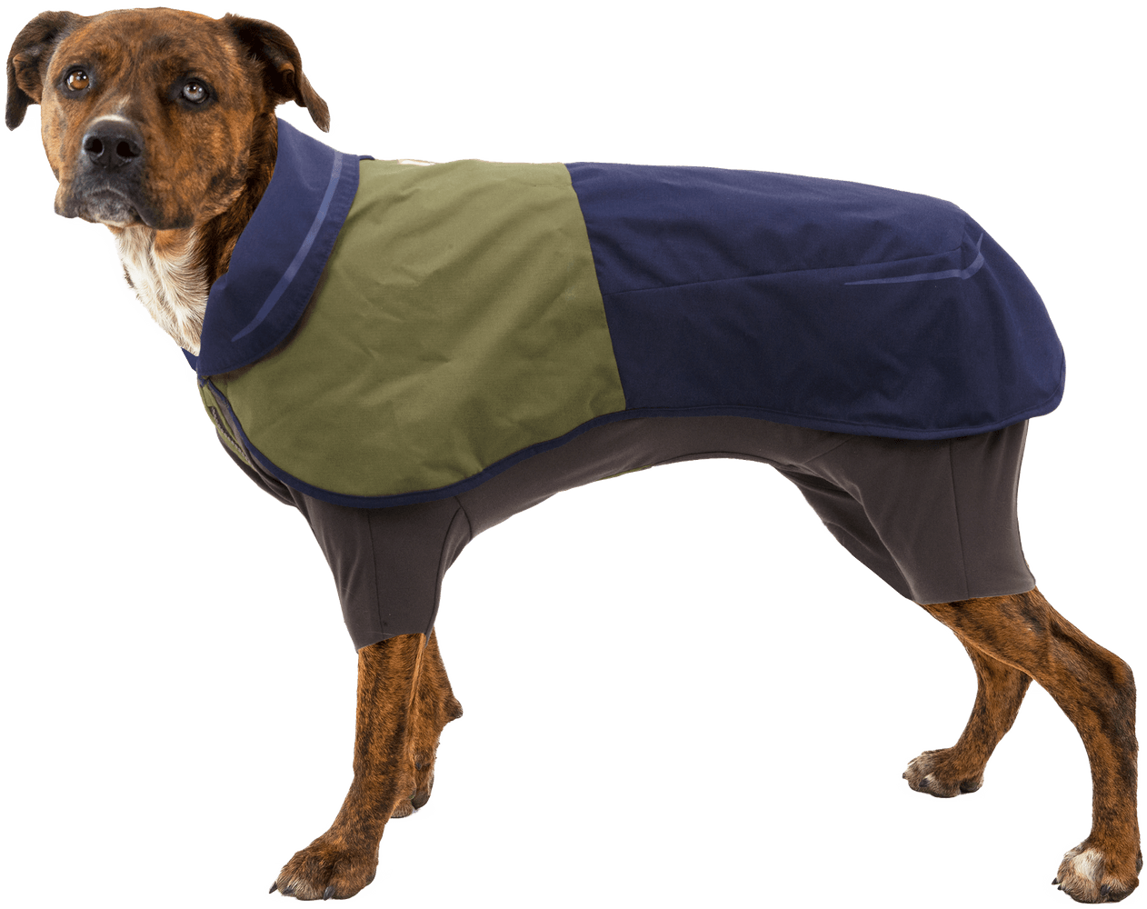 Sun Shower Coverall XXS-S Midnight Blue, view: 3