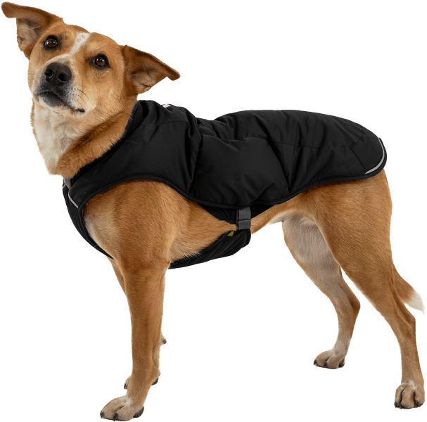 Quinzee Insulated Jacket Obsidian Black, view: 6