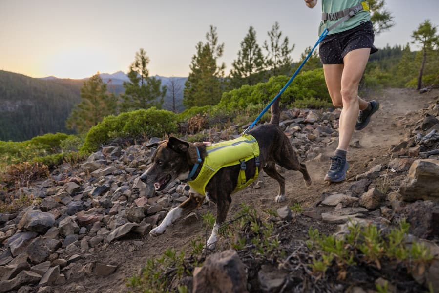Trail Runner Running Vest Lichen Green, view: 18