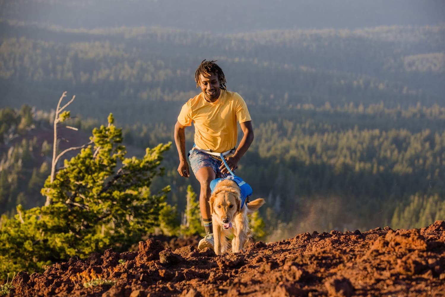 Trail Runner Running Vest Blue Pool, view: 6