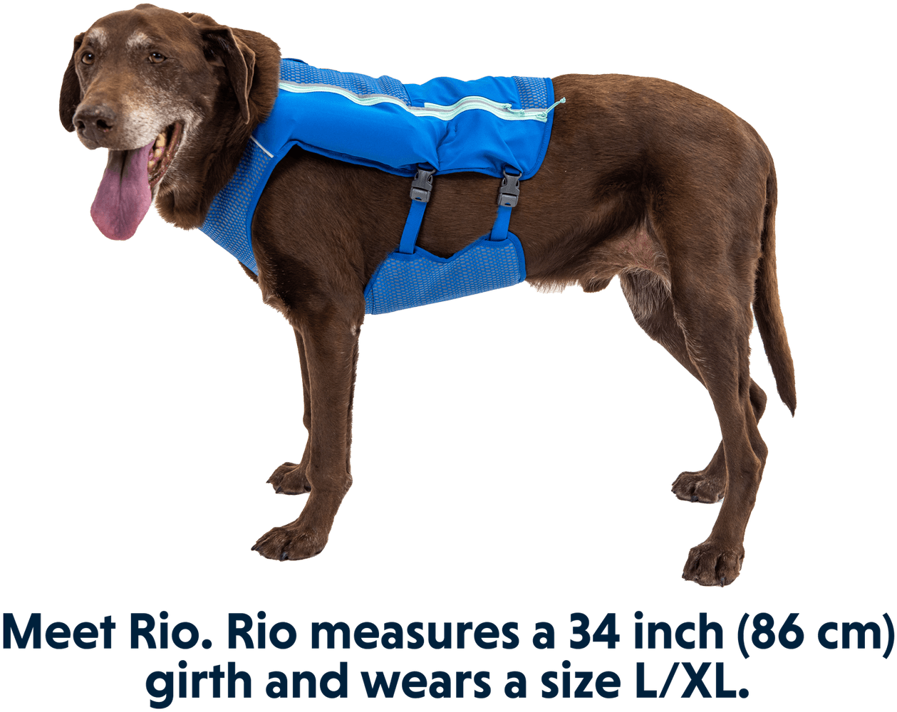 Trail Runner Running Vest Lichen Green, view: 9