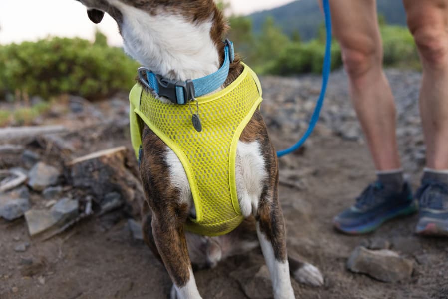 Trail Runner Running Vest Lichen Green, view: 16