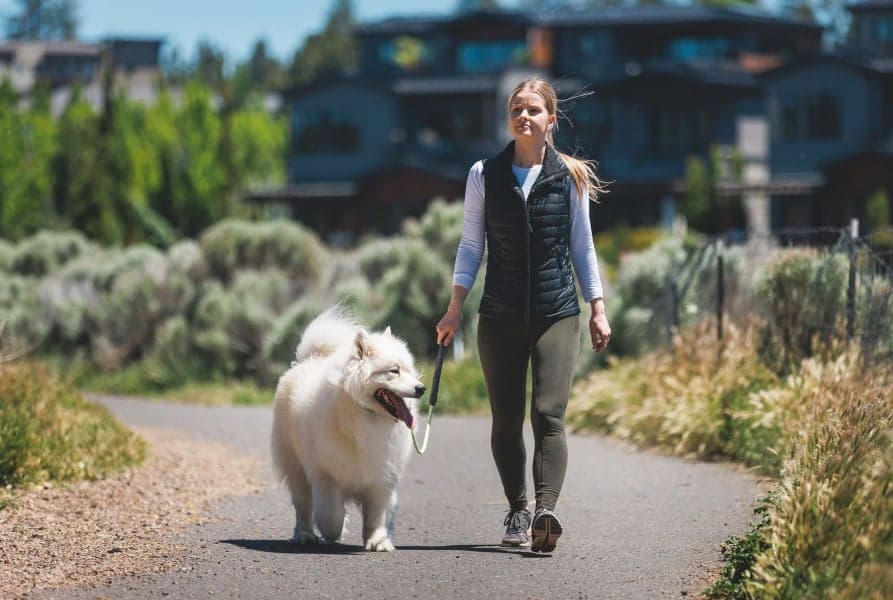 Knot-a-Long Short Rope Leash Blue Pool, view: 6