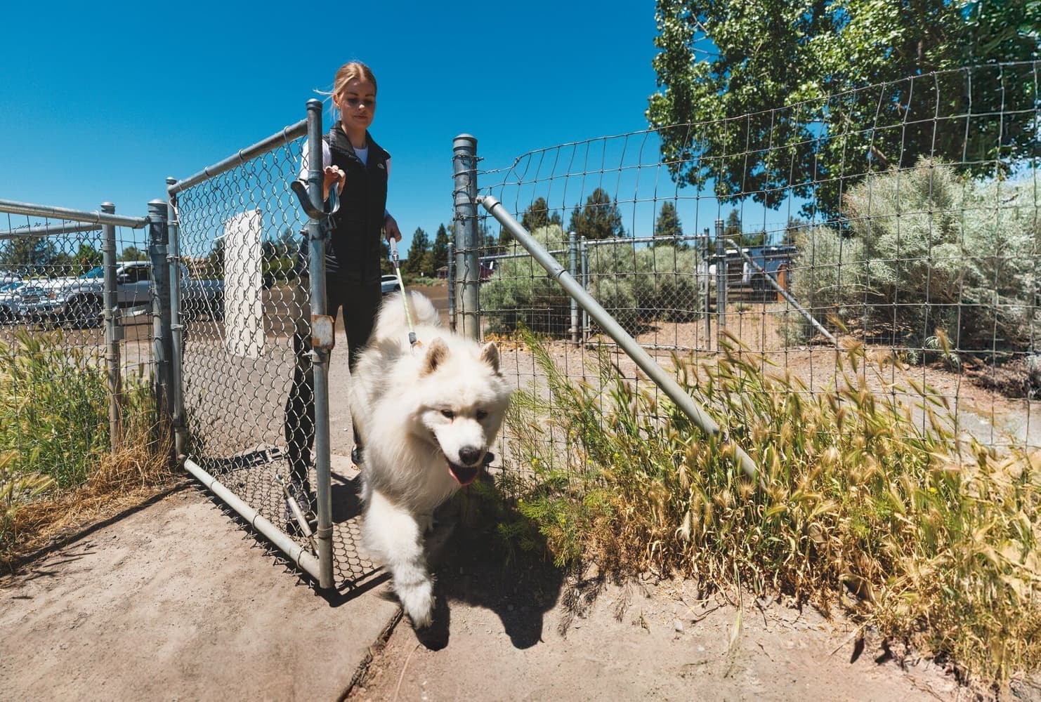 Knot-a-Long Short Rope Leash Blue Pool, view: 5