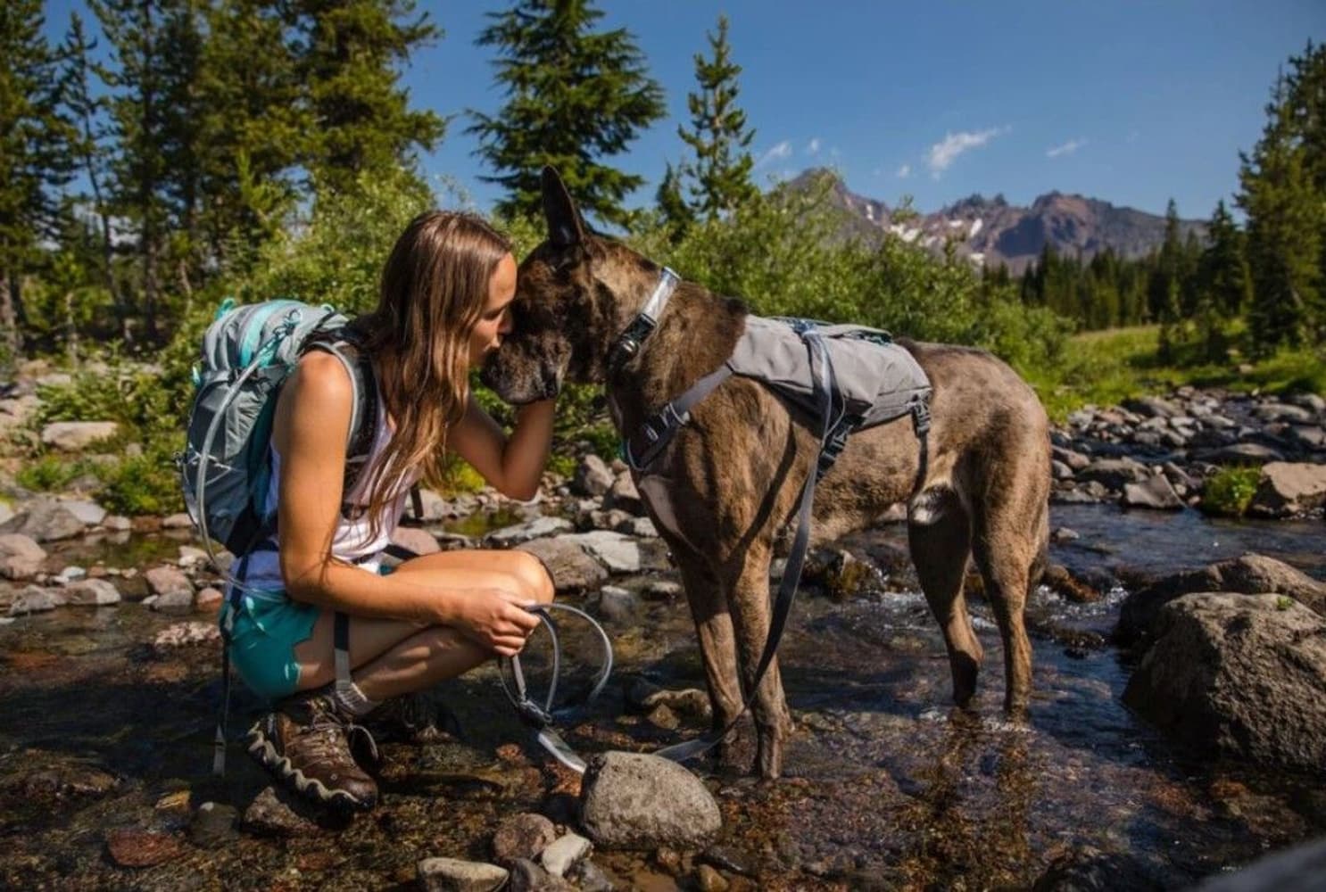 Ruffwear Switchbak Harness Blue Moon, view: 4
