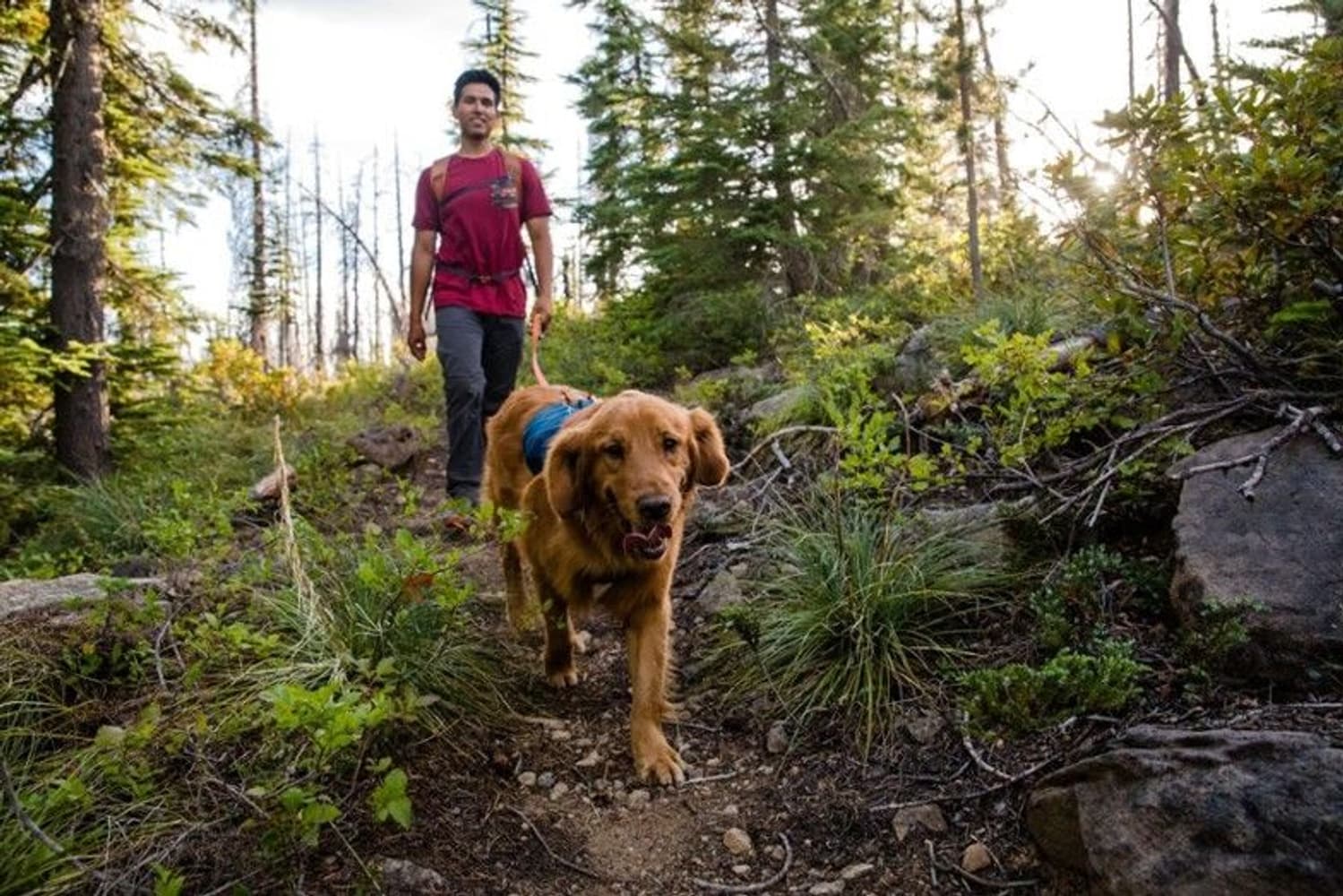 Ruffwear Switchbak Harness Blue Moon, view: 6
